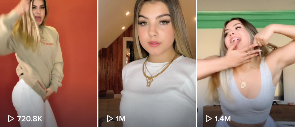 Screenshot,TikTok Sjbleau