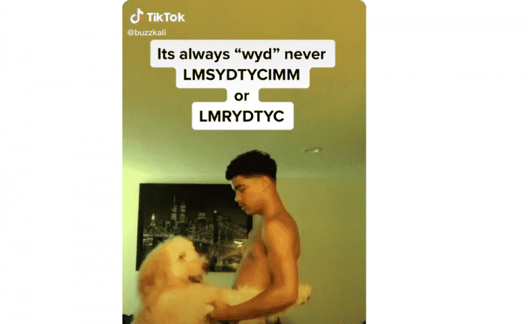 TikTok: Lmsydtynimm meaning revealed – plus 7 more ridiculous internet acronyms!